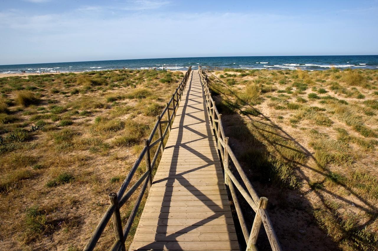 Roma 7 - Alquiler Solo Familias Lejlighed Playa de Gandia Eksteriør billede